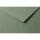 Clairefontaine 100Bl Tulipe 160g A4 ozeangrün