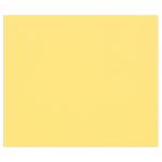 Clairefontaine 50Bl Tulipe 160g A3 butterblume