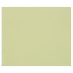 Clairefontaine 50Bl Tulipe 160g A3 lindgrün