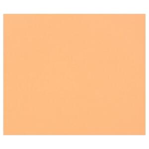 Clairefontaine 50Bl Tulipe 160g A3 lachs