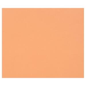 Clairefontaine 50Bl Tulipe 160g A3 rost