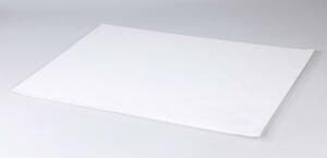 Clairefontaine Lavis Technique 160g A3 Bog 20 Bl.
