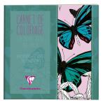 Clairefontaine Malbuch Erwachsene 20x20 Schmetterl