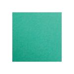 Clairefontaine 25Bl Maya 185g A3 tannengrün