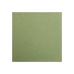 Clairefontaine 25Bl Maya 185g A3 kaki