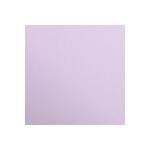 Clairefontaine 25Bl Maya 185g 70x100cm lila