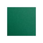 Clairefontaine 25Bl Maya 185g 70x100cm antikgrün