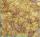 Clairefontaine Maulbeerpapier 65x95 clement 10Bg
