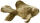 Clairefontaine Fisch XS