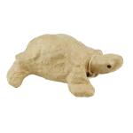 Clairefontaine Schildkröte XS
