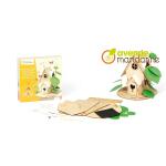 Avenue Mandarine Kreativ-Set Feenhaus zum Aufbauen