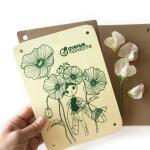 Avenue Mandarine Kreativ-Set Blumen/Kräuterpresse