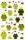Maildor Stickers Cooky Frösche 7,5x12 1Bg