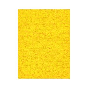 Clairefontaine Blatt Decopatch ref. 297 20Bl