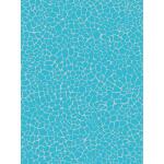 Clairefontaine Blatt Décopatch ref. 537 20Bl