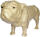 Clairefontaine Bulldogge M
