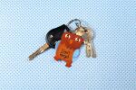 Maildor Modou, Rote Eule 5,8x6,7 50Bl