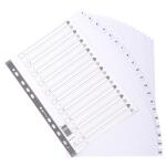 Exacompta Register A4+ Karton 20tlg 1-20 weiss