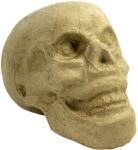 Clairefontaine Totenkopf S