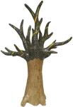 Clairefontaine Baobab Baum XL