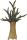 Clairefontaine Baobab Baum XL