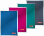 BRUNNEN 104348203 Heft Metallic A5 kariert extrastarker...