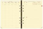Exacompta 2025 Quo Vadis Timer 21 PrestigeEinlage...