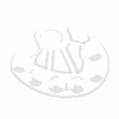 Toppoint Mischpalette 10 Näpfe