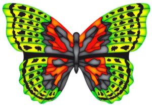 Elliot Drachen X-Kites Mini Mylar Schmetterling grün