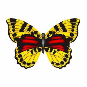 Elliot Drachen X-Kites Mini Mylar Schmetterling gelb
