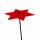 Elliot Lichtzauber Stern 4 cm rot mit 20 cm Stab