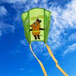Elliot Drachen Mini Pocket Kite Maus Flieger 43x33cm grün