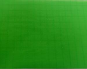 Elltex Spinnaker 150 cm fluo green V05