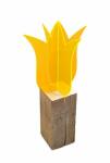 Elliot Lichtzauber Tulpe 3D stehend 12 cm orange