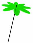 Elliot Lichtzauber Margerite 20 cm grün