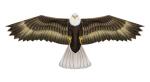 Elliot Drachen X-Kites Birds of Prey Eagle