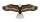 Elliot Drachen X-Kites Birds of Prey Eagle