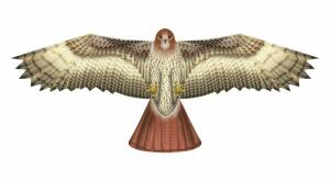 Elliot Drachen X-Kites Birds of Prey Hawk