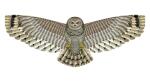 Elliot Drachen X-Kites Birds of Prey Owl