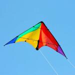 Elliot Drachen Delta Basic 117 x 59 cm rainbow/schwarz rtf