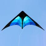 Elliot Drachen Delta Stunt 148 x 63 cm blau/schwarz rtf