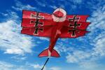 Elliot Drachen WindNSun 3D Red Baron Polyestertuch Druck