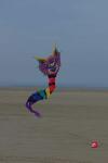 Elliot Drachen WindNSun 3D Serpent Polyestertuch Druck