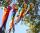 Elliot Windsack/Spinsock Rainbow 198 cm