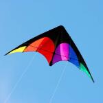 Elliot Drachen Delta Sport 168 x 77 cm rainbow/schwarz rtf