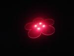 Elliot Lichtzauber Blume Mag 25cm rot 150cm Stab gemufft