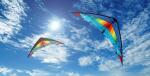Elliot Drachen Jet Stream Relo Sp. 200x70cm rainbow/schwarz