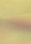 HEYDA 204077361 Holografie-Karton 495 x 70 cm goldfarben