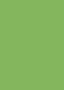 HEYDA 211435040 Briefbogen A4 grasgrün