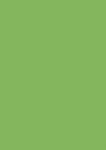 HEYDA 211435040 Briefbogen A4 grasgrün
